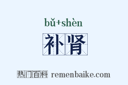 补肾是什么意思的图片